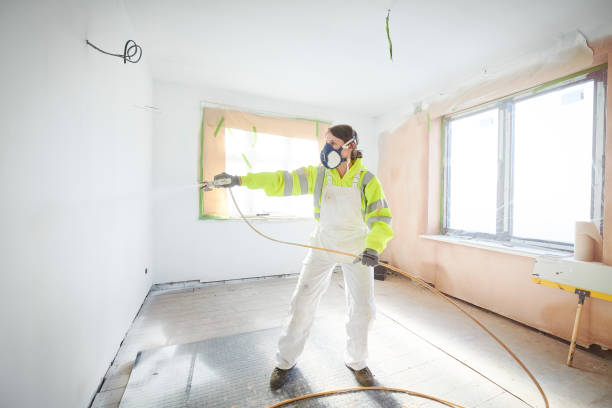 Trusted Lake Delton, WI Mold Removal Experts