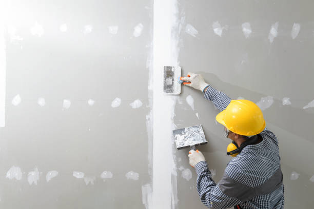 Best Air Quality Testing for Mold Spores  in Lake Delton, WI