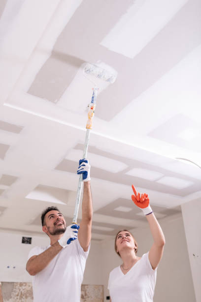 Mold Documentation for Insurance Claims in Lake Delton, WI