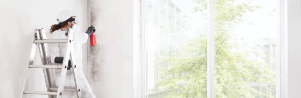 Best Commercial Mold Inspection  in Lake Delton, WI
