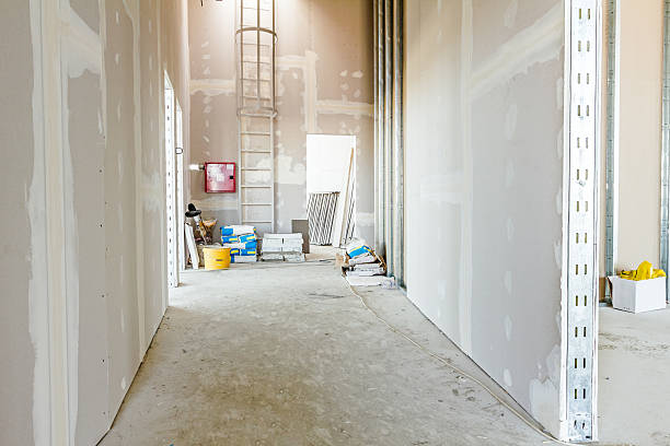 Best Mold Remediation for Healthcare Facilities  in Lake Delton, WI
