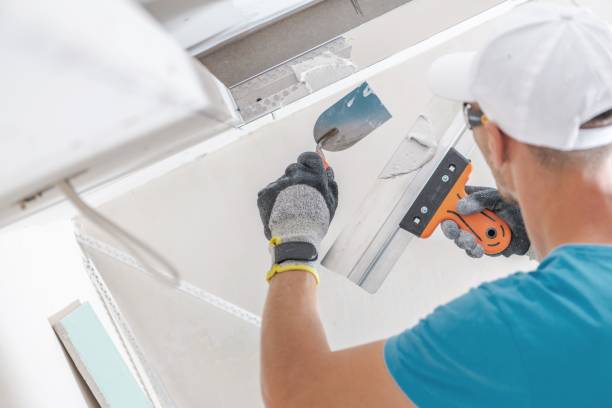Best Basement Mold Removal  in Lake Delton, WI